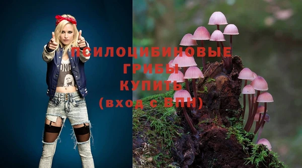 соль курить ск Богданович